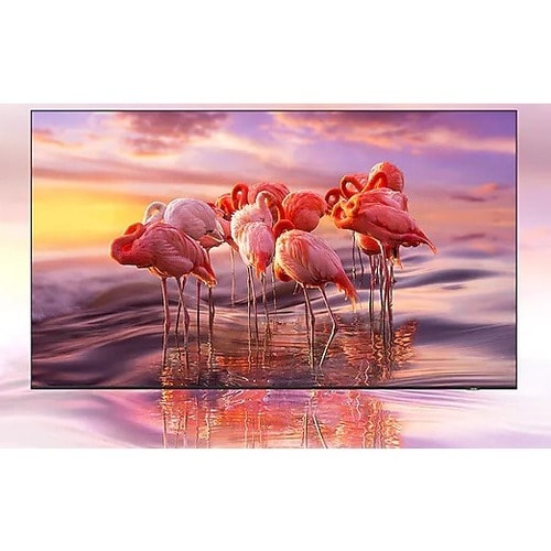 32 LED+TV H 3YR WARR