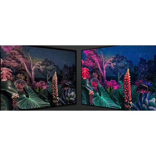 55 LED+TV H 3YR WARR
