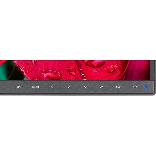 24IN WIDESCREEN WUXGA DESKTOP MTR USB-C PD LAN CONNECTIVITY