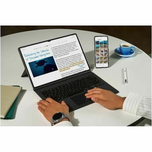 GALAXY TAB S9 ULTRA 12+256GB WI GRAY