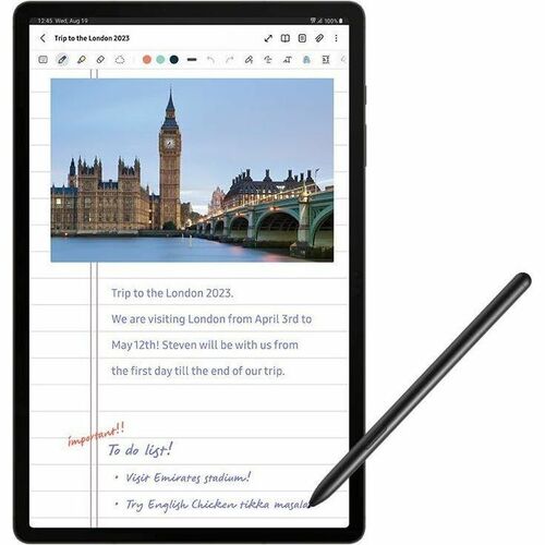 GALAXY TAB S9 ULTRA 12+256GB WI GRAY