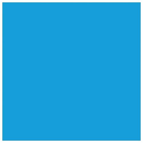 CYAN STD CAP TONER CARTRIDGE WC 6515 PHASER 6510 1000 PAGES