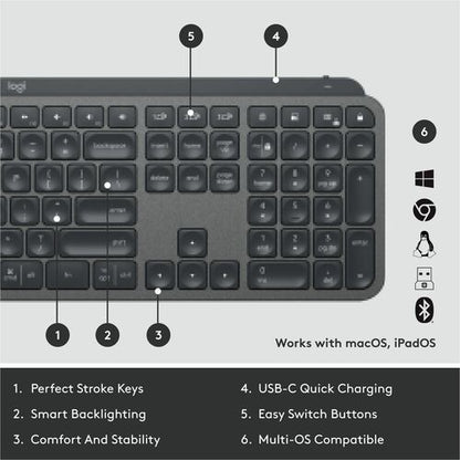 MX KEYS FOR BUSINESS GRAPHITE LOGI BOLT