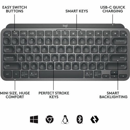 MX KEYS MINI FOR BUSINESS GRAPHITE  LOGI BOLT