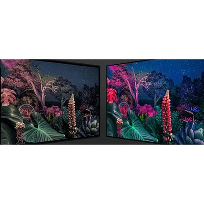55 LED+TV H  3YR WARR