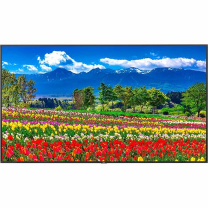 NEC MULTISYNC M751 4K UHD 500 CD/M2 3840 X 2160 24/7