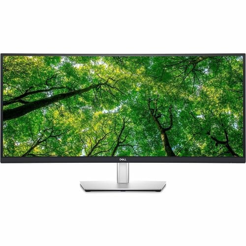DELL 34 CURVED USB-C HUB MONITO P3424WE