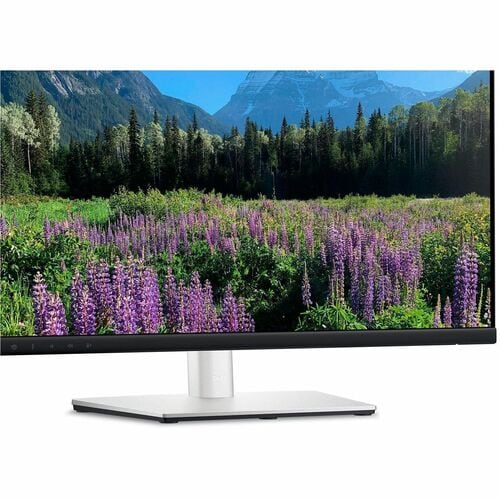 DELL 24 VIDEO CONFERENCING MON-P2424HEB