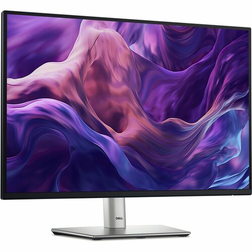 24 MONITOR - P2425