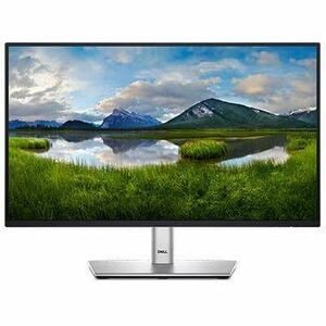22 MONITOR - P2225H