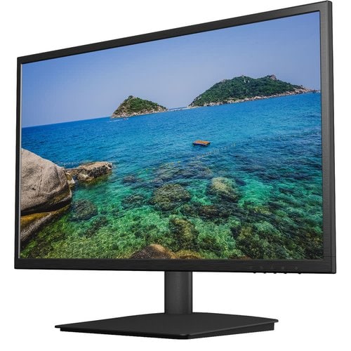 24IN PLL2450MW BLACK WIDE LED LCD